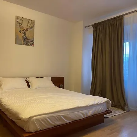 Center Apartment *